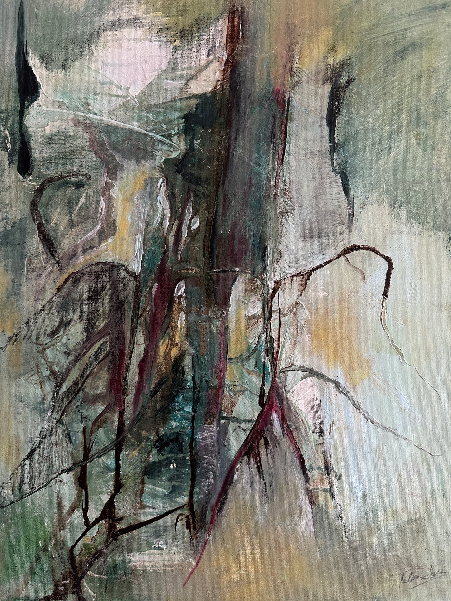 Banyan Vines