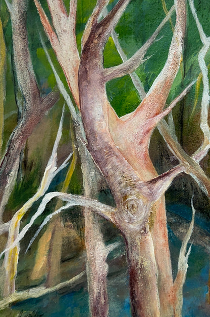 Wetlands